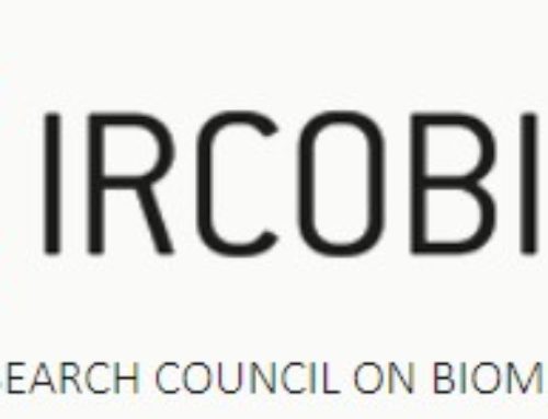 IRCOBI Europe Conference 2024, Stockholm, September 2024